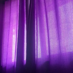 Meet your Posher, Clara